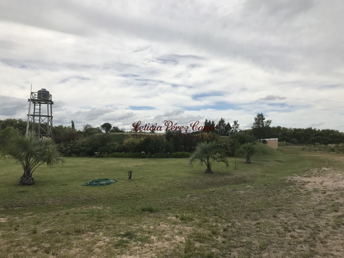 Imagen 26 de 30 de Venta De Chacra Sobre Ruta 9 A 30 Km De Jose Ignacio