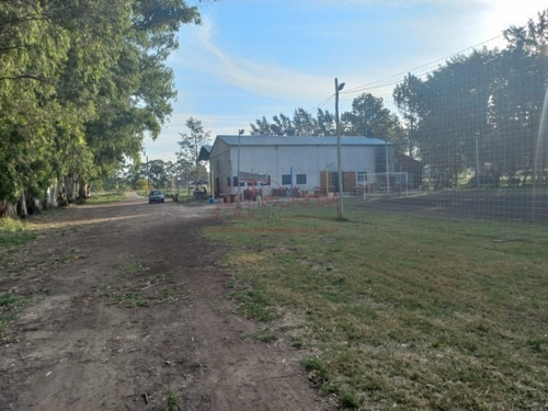 Imagen 7 de 29 de Venta, De Importante Fracciòn De 4 Has, Sobre Ruta Provincial 36.