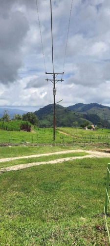 Imagen 26 de 27 de Finca En Venta Chiguará