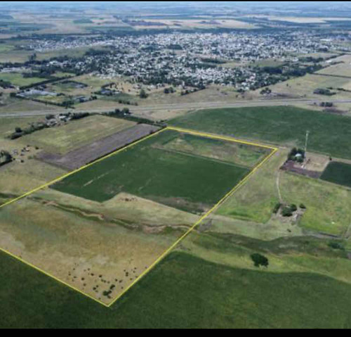 Excelente Campo 30 Ha Arrecifes