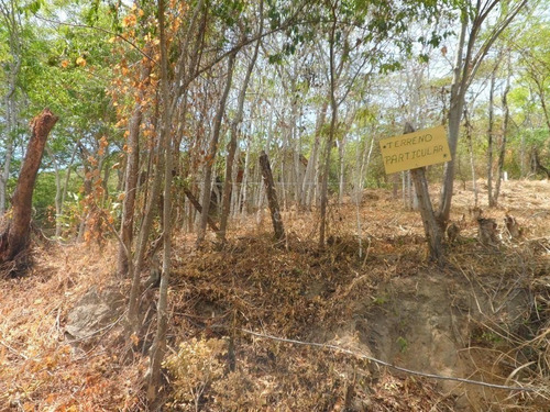 Imagem 6 de 7 de Terreno À Venda, 465 M² Por R$ 120.000,00 - Engenho Do Mato - Niterói/rj - Te4873