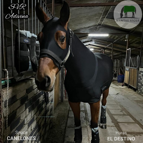 Imagen 3 de 6 de Manta Capa Para Caballo De Lycra Licra (desc. Venta Directa)