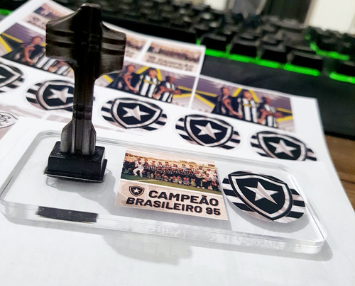 Mini Taça Botafogo Campeão 1995