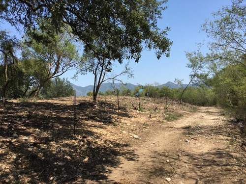 Imagen 10 de 11 de Campestre
