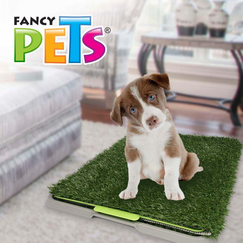 Tapete Entrenador Para Perro Doggie Grass Ch 68 X 43 Cm