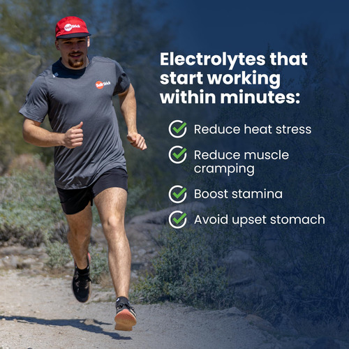 Electrolyte Fastchews Saltstick, Coco, Piña, 60 Comprimidos