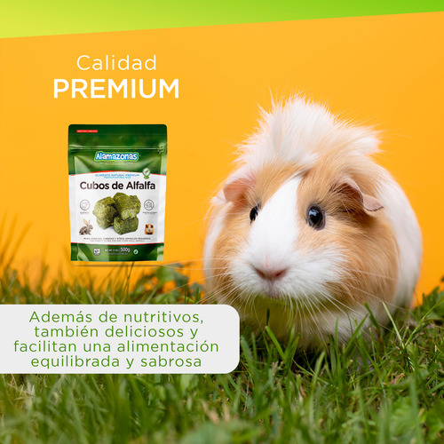 Kit 2 Cubos De Alfalfa Snack Conejo 500g Rabbit Alamazonas
