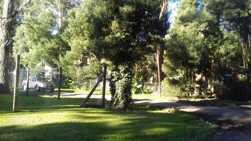Imagen 14 de 14 de Casa Estilo Cabaña En El Bosque Peralta Ramos