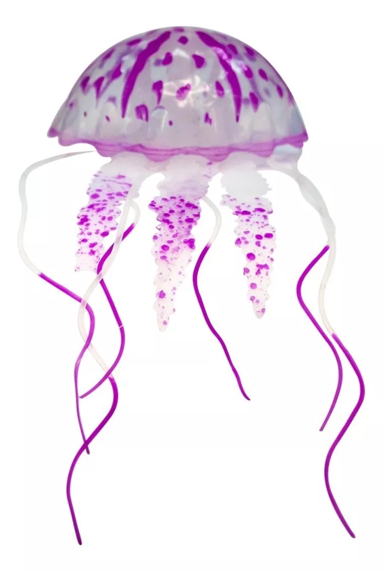 Primera imagen para búsqueda de acuario medusas