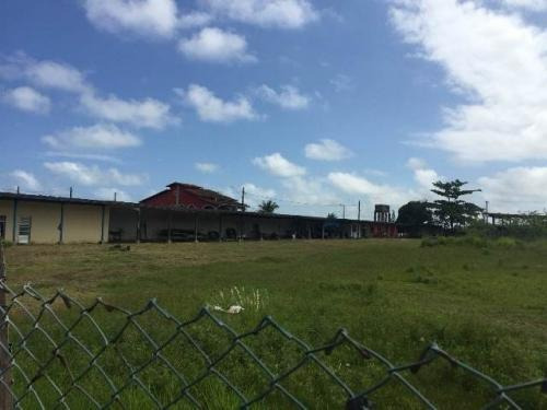 Imagem 7 de 7 de Área No Cibratel 2 Possui Poço Artesiano Em Itanhaém - 6249