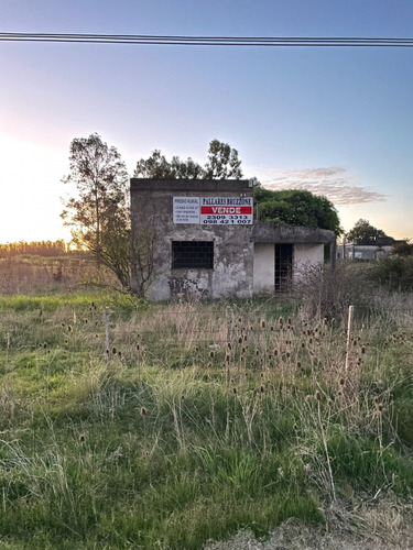 Camino Del Andaluz Muy Próximo A Ruta Perimetral.