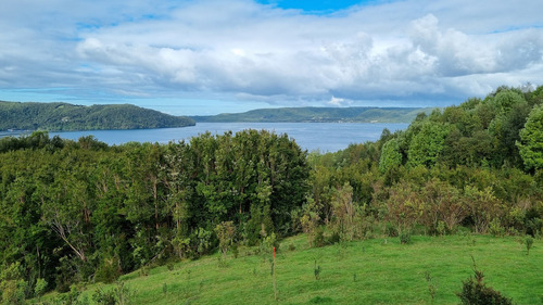 Vende Hermoso Predio De 7,38 Hás En Isla Tranqui, Chiloé!