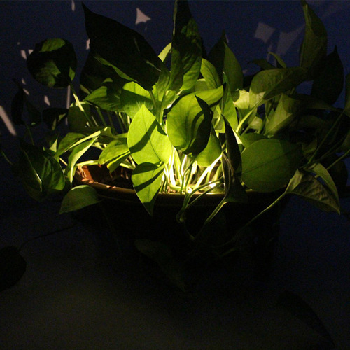 Luz Accionada Solar, Maceta Impermeable, Maceta, Luces,