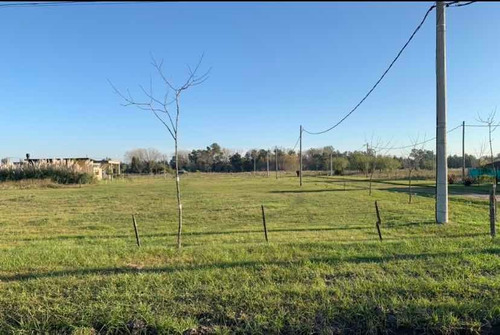 Lotes En Brandsen, Pcia De Buenos Aires