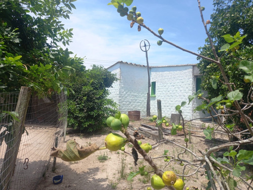 Casa 3 Dormitorios