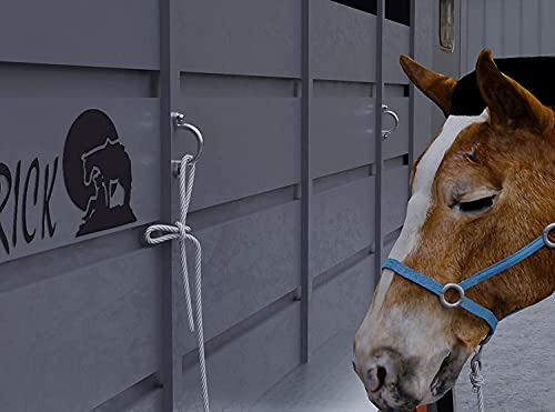 Mhyyt Reemplaza Bridas Para Remolques Para Caballos, Pernos