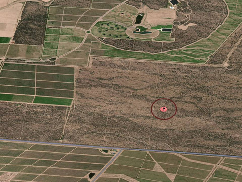 Imagen 6 de 7 de Venta De Campo, Lujan De Cuyo, Mendoza