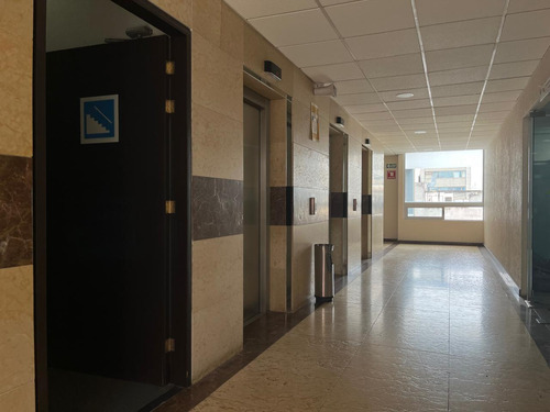 Oficina En Renta- Hamburgo - Piso 5 - 185m2