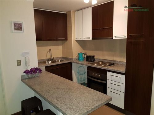 Imagen 7 de 17 de Departamento En Venta En Ed. Parque Alameda