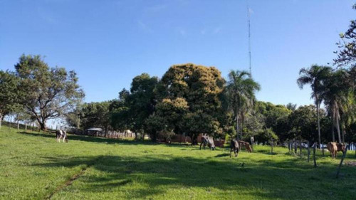 Imagem 3 de 9 de Sítios - Ref: V5260