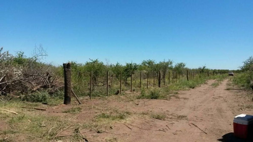 Imagen 4 de 4 de Lote En Venta De 5000m2 Ubicado En Cerro De Oro