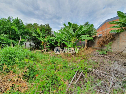 Imagem 12 de 17 de Terreno Plano Com 1.364 M² Por R$ 1.200.000 - Vila Rosa - Novo Hamburgo/rs - Te1070