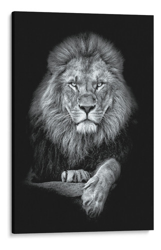 Quadro Leão Preto E Branco Tela Canvas 40x60 Cm