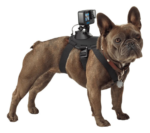 Gopro Arnes Para Perros Fetch Dog Harness Gopro Oficial