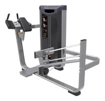 Comprar Equipo Profesional Patada Para Glúteo Con Peso Integrado