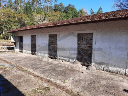 Imagem 23 de 30 de (100 Alqueires) Exuberante Fazenda De Alto Padrão, Com Vista Para Represa, Cachoeira Na Divisa, Cercada Por Mata Nativa E Infraestrutura Completa!!! - 01 - 70257064