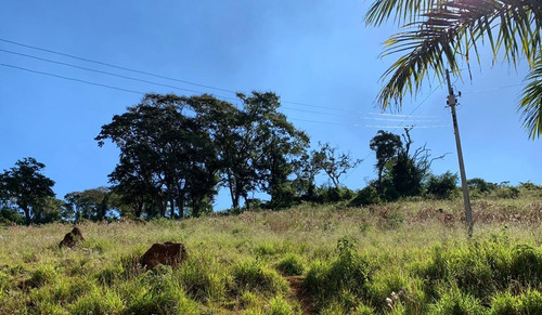 Sítio Com Terra De Cultivo E Represa