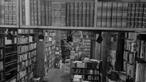 Comprar Narcisismo. Campbell, W. Keith. Kairos