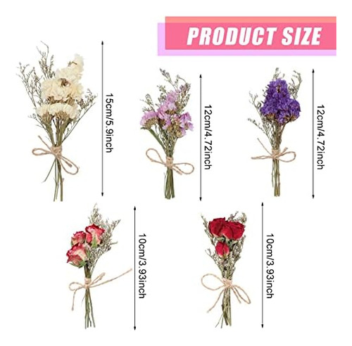 Paquete De 10 Ramos De Flores Secas