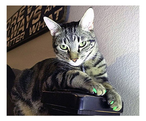 Purrdy Paws Suministro De 3 Meses Tapas De Uñas Suaves Para