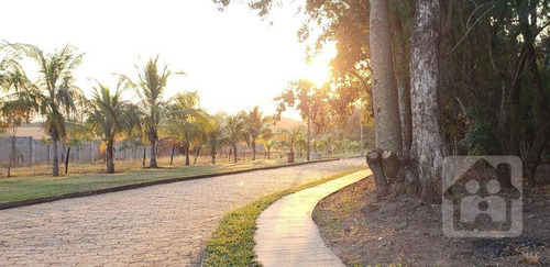 Imagem 2 de 13 de Chácara Com 3 Dormitórios À Venda, 5240 M² Por R$ 1.500.000,00 - Condomínio Chácaras Villa Verde - Birigüi/sp - Ch0025