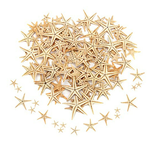 100 Estrellas De Mar Pequeñas, Mini Estrellas De Mar Amarill