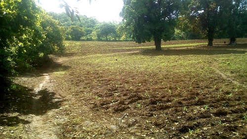 Imagen 1 de 12 de 4 Mzs San Rafael Del Sur - Managua