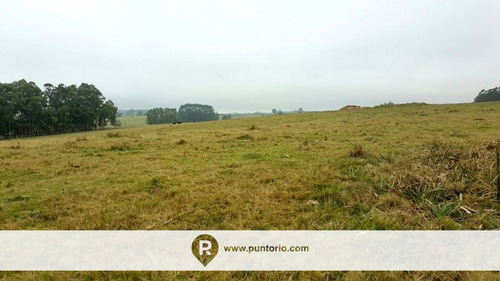Punto Río | Campo En Castillos