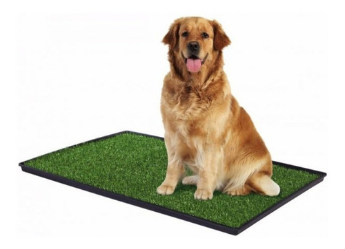 Baño Portátil Con Cesped Para Perros Grande Xl 51x76cm