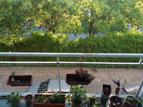Imagen 9 de 14 de Departamento En Venta En Lomas De Zamora Oeste