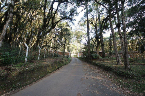 Imagem 10 de 12 de Chácara À Venda, 3300 M² Por R$ 750.000 - Campininha - Quatro Barras/pr - Ch0019