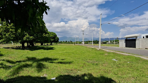 Vendo Solares En Sombrero Baní, República Dominicana