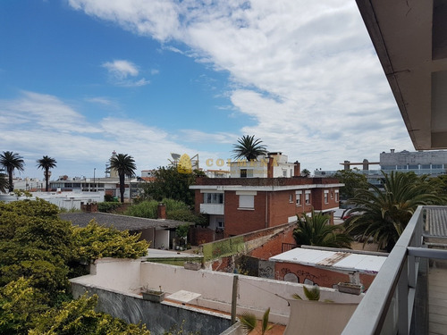 Apto Con Excelente Ubicación, A Pasos De Gorlero, Del Puerto De Punta Del Este- Ref: 4183