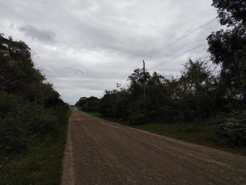 Venta Terreno 6 Has. Santiago De La Peña Tuxpan Veracruz