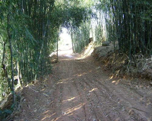 Imagem 5 de 9 de Sítio À Venda Em Jardim Monte Verde - Si000914