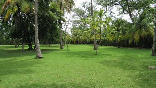 Imagen 13 de 14 de Finca En Venta En Santa Fe De Antioquia En La Recta