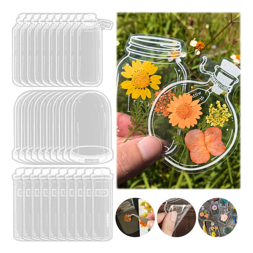 / Marcadores De Flores Secas Transparentes H, 30 Unidades,