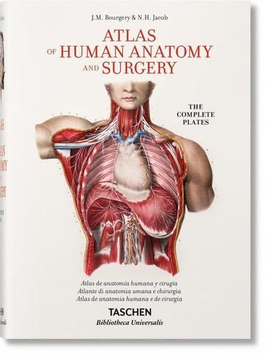 Bourgery Atlas Of Anatomy (es/it/po) - Aa.vv