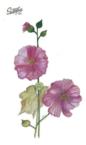 Semillas De Flor Hollyhock Sitopia