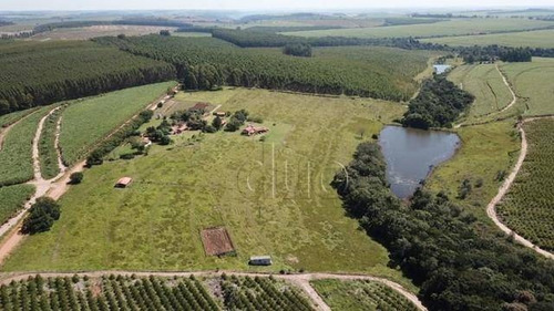 Imagem 20 de 20 de Sítio Com 3 Dormitórios À Venda, 109000 M² Por R$ 1.350.000,00 - Alto Da Serra - São Pedro/sp - Si0003